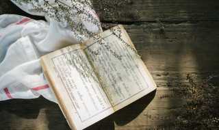 何言相濡以沫的意思是什么?何言相濡以沫是什么意思(何言相濡以沫)