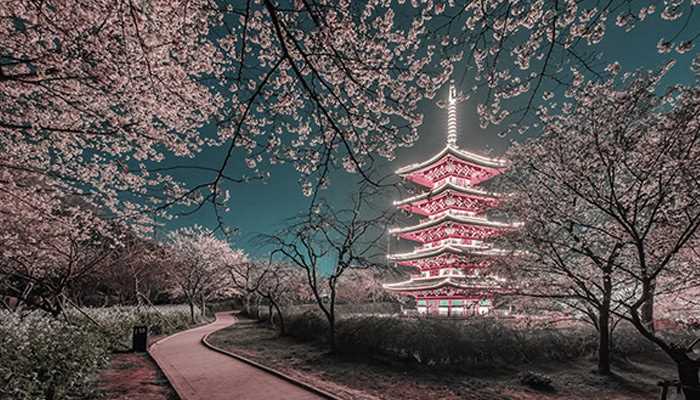 江城指的是哪座城市?江城是哪个城市?(江城)