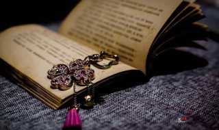 ts具体是什么意思?ts啥意思(ts)