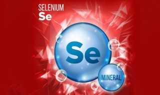 看完你理解了吗?se是什么意思(se)