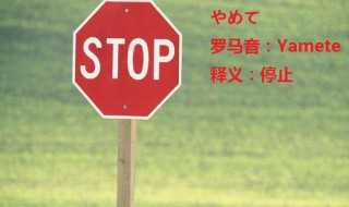 亚麻得解释?亚麻得是什么意思(ya ma dei)