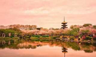 推荐去武汉玩的景点_武汉十大必去景点(武汉有什么好玩的地方景点推荐)