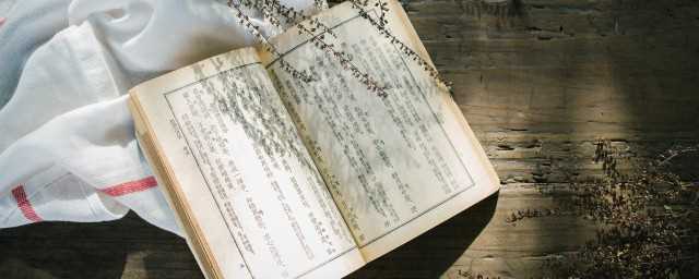 竖组词组(竖组词100个)