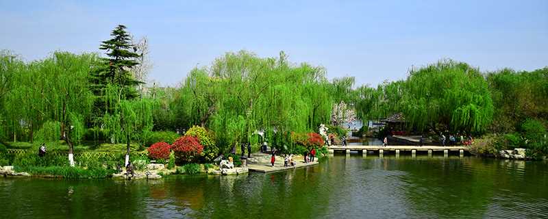 泉城指的是哪座城市?泉城是哪里?(泉城是哪里)