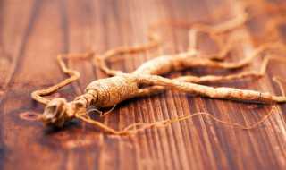 人参主要产地在哪里（人参主要产地在哪里看）?(人参的主要产地在)