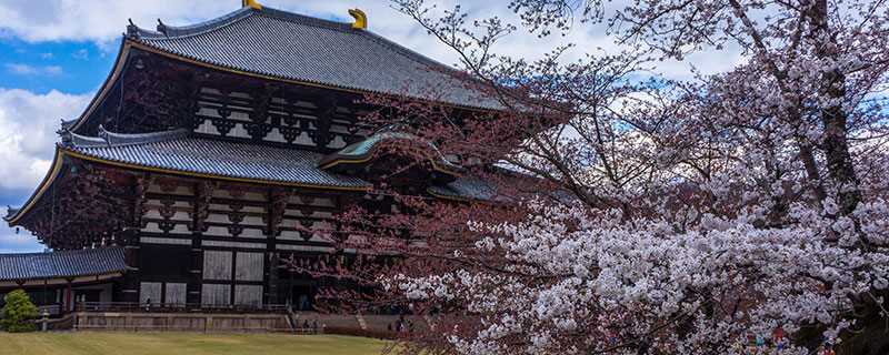 奈良公园在哪个国家?奈良公园在哪里?(奈良公园)