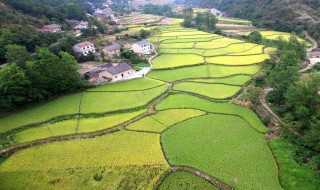 一公顷是多少亩地 什么是公顷