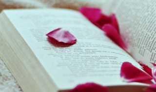 journey的中文翻译?journey是什么意思中文翻译(journey)