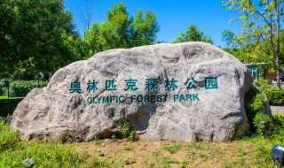 奥林匹克森林公园里面好玩的景点介绍?奥林匹克森林公园有什么玩的(奥林匹克森林公园好玩吗)