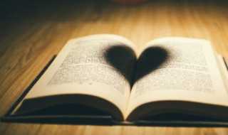 恃宠而娇的解释_恃宠而骄的意思(恃宠而骄)