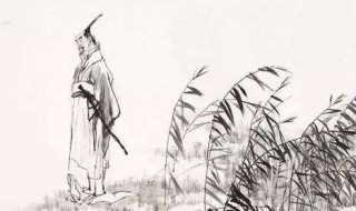 集芙蓉以为裳什么意思?集芙蓉以为裳(集芙蓉以为裳)