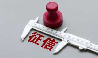 什么是征信报告?征信报告是什么意思(征信报告)