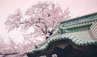 良辰美景奈何天原文介绍?良辰美景奈何天是哪首诗词里的?啥意思?(良辰美景奈何天)