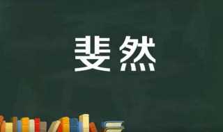 读音是什么?斐然是什么意思(斐然)