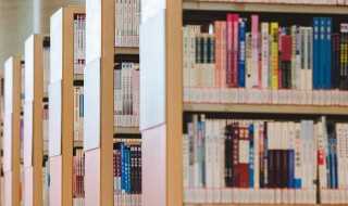 尽什么意思?尽的意思(尽)