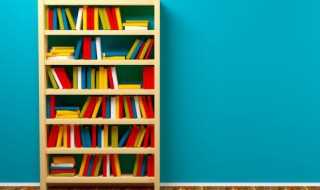 阿达西的意思介绍?阿达西什么意思(亚达西)