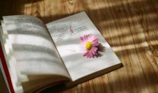 文艺复兴的意思?文艺复兴是什么意思(文艺复兴)