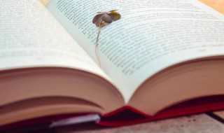 gentle解释?gentle什么意思(gentle)