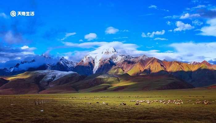 出塞古诗大意_出塞古诗的意思(出塞古诗意思)