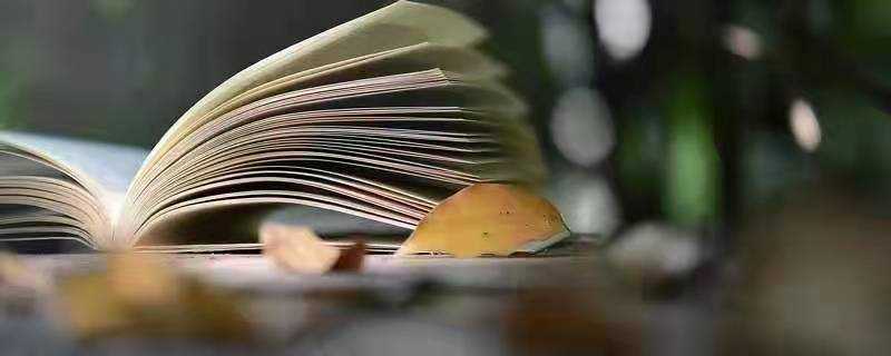 什么是形容词语文?什么是形容词(形容词)