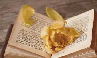 嬢嬢在重庆解释?嬢嬢在重庆什么意思(嬢嬢)