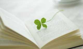 柏怎么读?柏读音(柏读音)