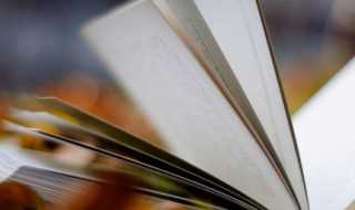 滥竽充数的释义?滥竽充数的意思是什么意思(滥竽充数的意思)