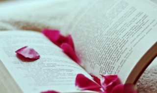 一举夺魁的含义?一举夺魁的举是什么意思(一举夺魁)