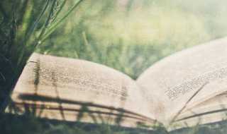 申的组词有哪些?申的组词(申组词)