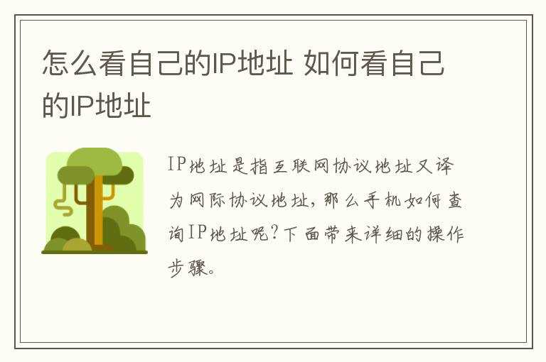 怎么看自己的IP地址?怎么看自己的IP地址?(怎么看ip地址)