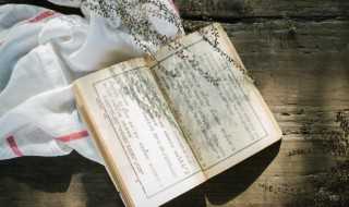 勃字怎么组词是什么?勃字怎么组词?(勃字组词)