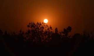 日暮归途的意思?日暮归途是什么意思(日暮归途)