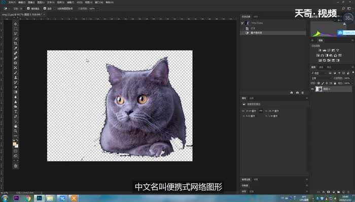 PNG是什么意思?PNG是什么格式(png是什么格式)