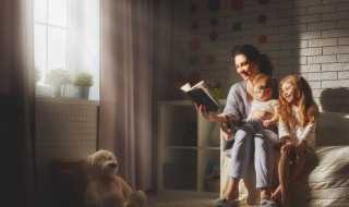 铿锵玫瑰的含义?铿锵玫瑰是什么意思(铿锵玫瑰)