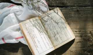 装是什么部首?装部首是什么(装的部首)