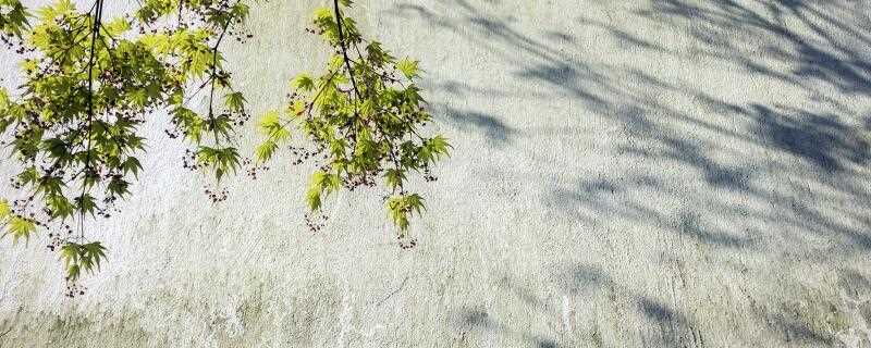 韩愈的代表作品_韩愈简介(韩愈的作品)