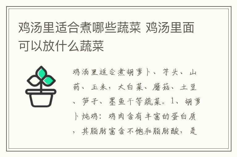 鸡汤里面可以放什么蔬菜?鸡汤里适合煮哪些蔬菜?(鸡汤炖什么菜好吃)