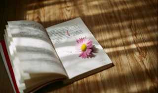 腻的组词都有哪些?腻组词有哪些?(腻组词)