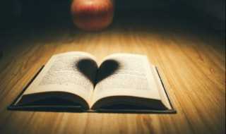 舒畅是什么意思?舒畅的意思(舒畅的意思)