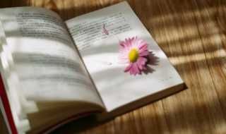 戎什么意思?戎的读音(戎怎么读)