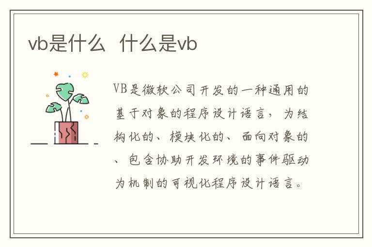 什么是vb?vb是什么(vb)