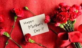 关于母亲节简介_母亲节简介(关于母亲节的资料)