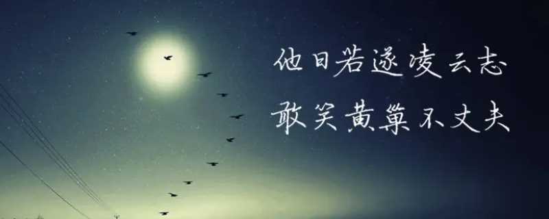 他日若遂凌云志敢笑黄巢不丈夫是什么意思?(他日若遂凌云志敢笑黄巢不丈夫)