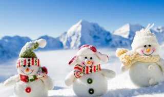 winter中文意思是什么?winter什么意思中文(winter)