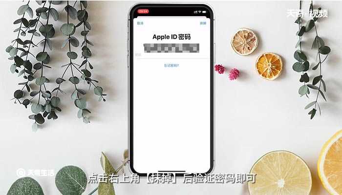 苹果手机忘记密码锁屏了解决办法?苹果手机忘记密码锁屏了怎么办?(苹果手机忘记密码锁屏了怎么办)
