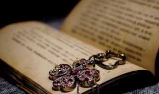 别出心裁释义?别出心裁的意思是什么(别出心裁)