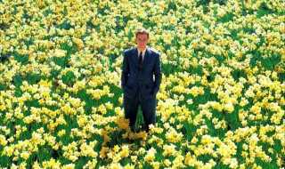 看完你就知道了?功败垂成是什么意思啊(功败垂成意思)