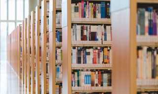 鸡同鸭讲是什么意思?鸡同鸭讲是什么意思(鸡同鸭讲)