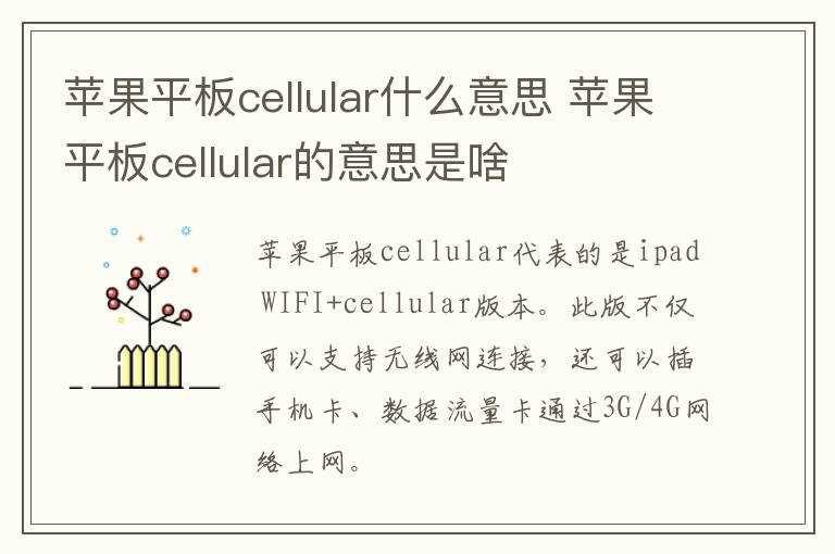 苹果平板cellular的意思是啥?苹果平板cellular什么意思(cellular)