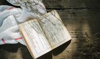 贾字组词有什么?贾字组词(贾的组词)